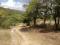 Venta de extenso y productivo terreno de 91Hect. en Miranda